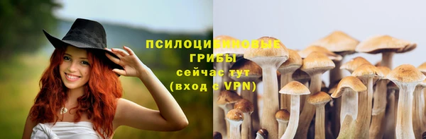 прущие грибы Абдулино