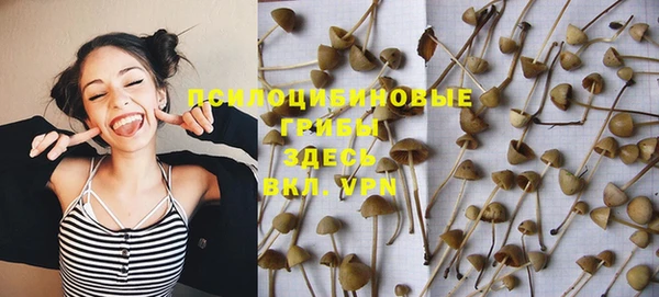 прущая мука Абаза