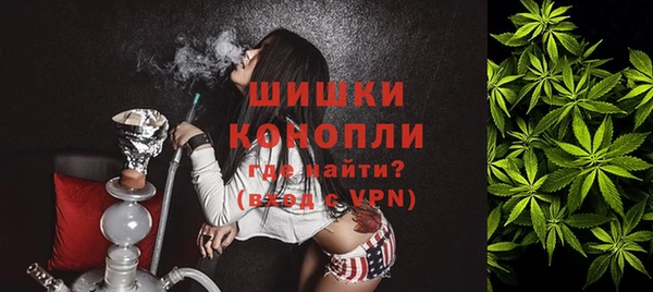 прущие грибы Абдулино