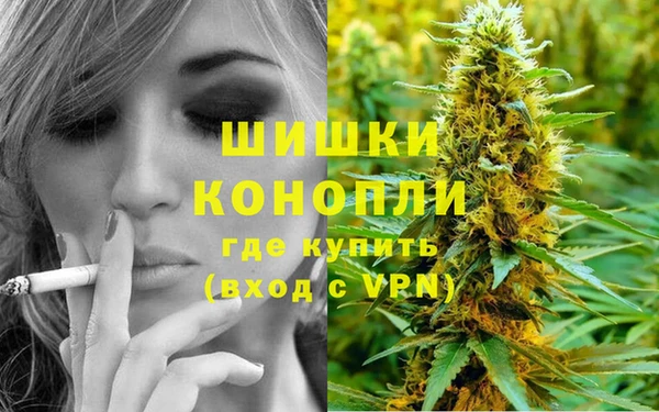 прущие грибы Абдулино