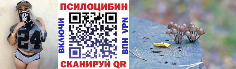 Галлюциногенные грибы Psilocybine cubensis  мега как войти  Котовск 