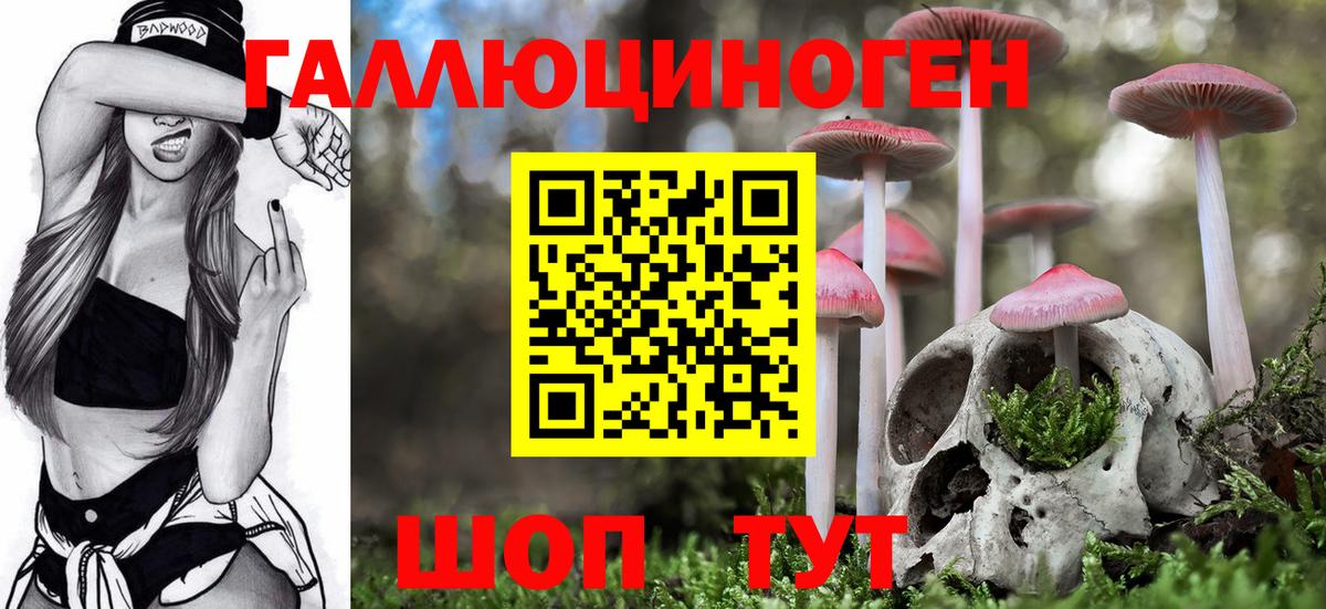 Псилоцибиновые грибы ЛСД  Вход с VPN  Котовск  закладка  Псилоцибиновые грибы прущие грибы 